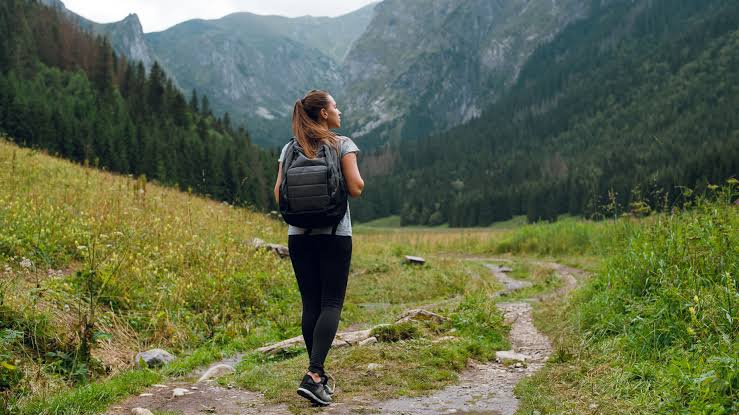 Top Hiking Trails for Beginners and Experts